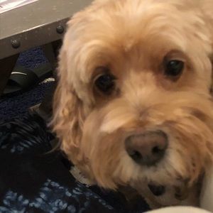 Meet your Posher, Chance